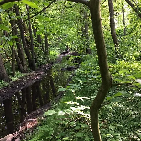 Ländliches Hideaway Zwischen Hamburg Und Lübeck Apartamento *