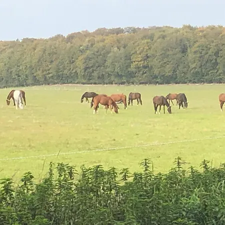Laendliches Hideaway Zwischen Hamburg Und Luebeck *