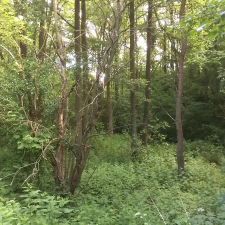 Apartamento Ländliches Hideaway Zwischen Hamburg Und Lübeck Kothel